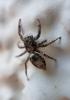 218674 – Photo : Daniel Philippe – France (47)